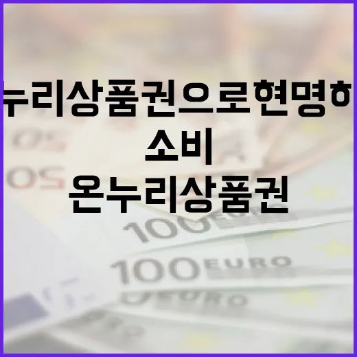 온누리상품권으로 현명하게 소비하는 방법 - 요약