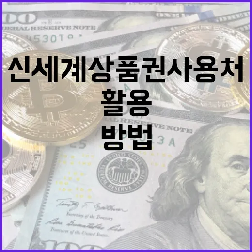 신세계상품권 사용처를 최대한 활용하는 방법 - 요약