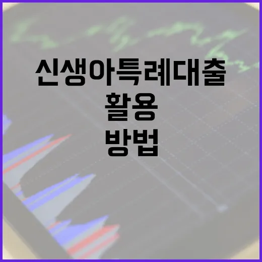 신생아 특례대출을 효과적으로 활용하는 방법 - 요약