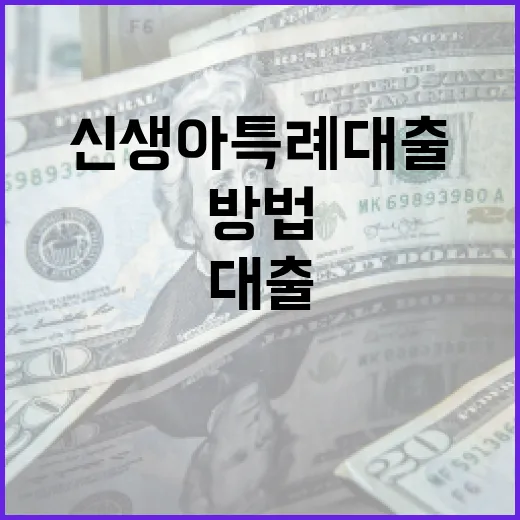 신생아 특례대출을 활용하는 방법 - 요약