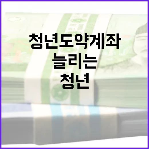 청년도약계좌를 활용하여 재산을 늘리는 방법 - 요약