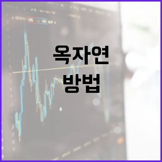 옥자연 집을 알아보는 방법 - 요약