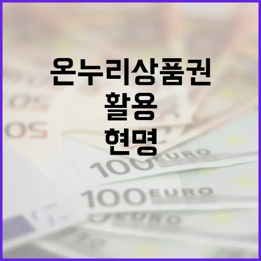 온누리상품권을 활용하여 현명하게 소비하는 방법 - 요약