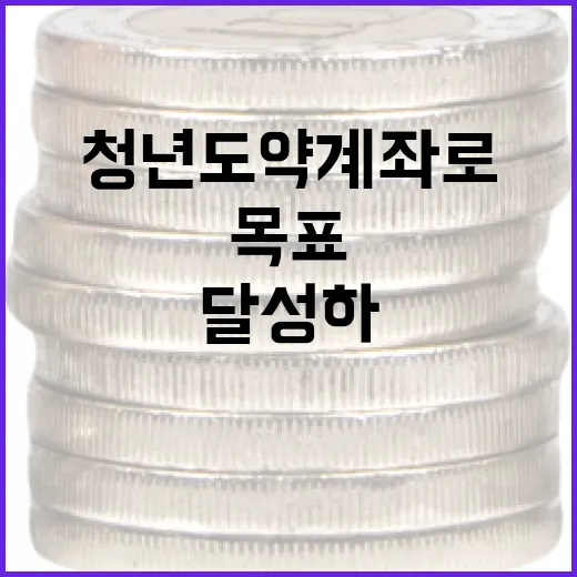 청년도약계좌로 재정적 목표를 달성하는 방법 - 요약