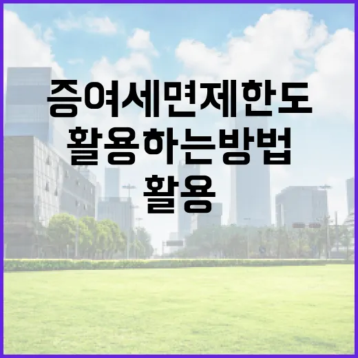 증여세 면제한도를 이해하고 활용하는 방법 - 요약