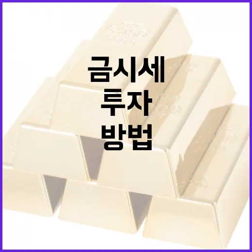 금시세를 이해하고 투자하는 방법 - 요약