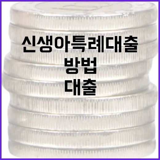 신생아 특례대출을 활용하는 방법 - 요약