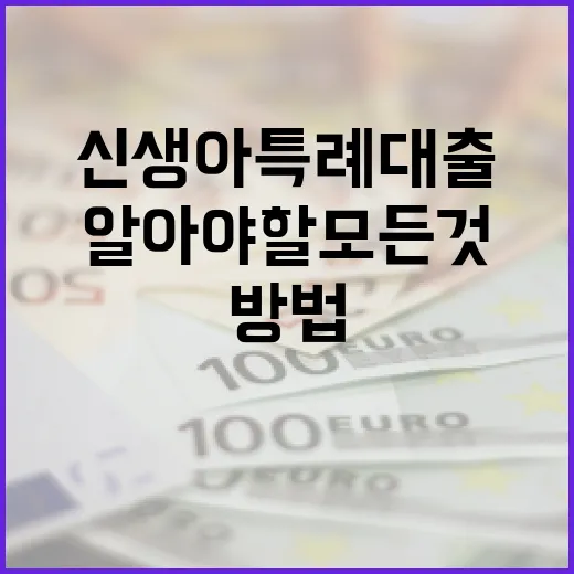 신생아 특례대출을 받는 방법: 알아야 할 모든 것 - 요약