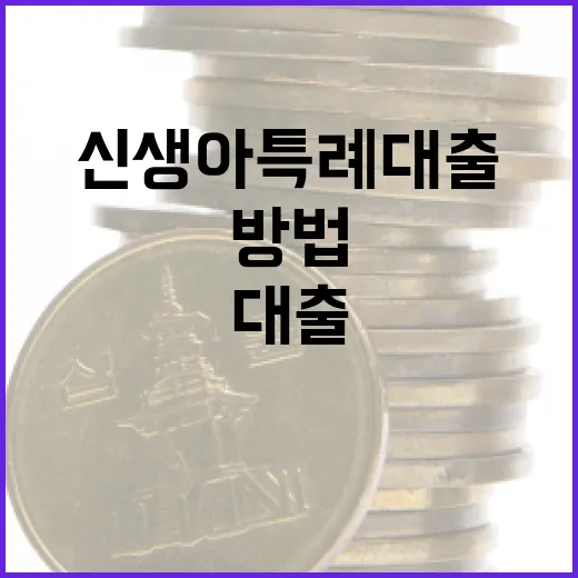 신생아 특례대출을 활용하여 재정적 안정 얻는 방법 - 요약