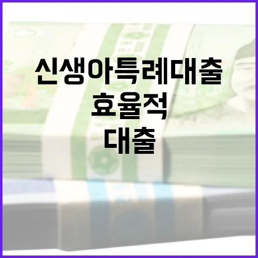 신생아 특례대출을 효율적으로 사용하는 방법 - 요약