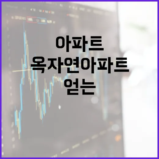 옥자연 아파트 투자로 재정적 안정을 얻는 방법 - 요약