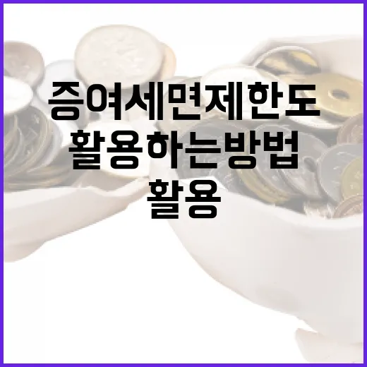 증여세 면제한도를 이해하고 활용하는 방법 - 요약