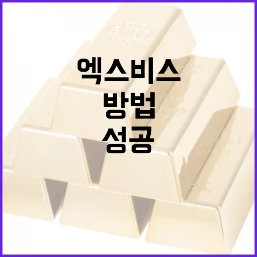 엑스비스(XBis) 투자로 성공하는 방법 - 요약