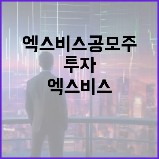 엑스비스 공모주 투자하는 방법과 전략 - 요약