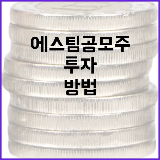 에스팀 공모주에 투자하는 방법 - 요약