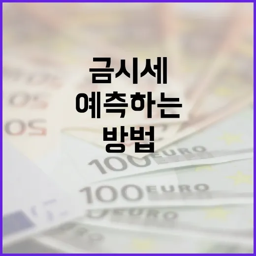 액스비스(Exbis) 투자 분석을 위한 필수 가이드 - 요약