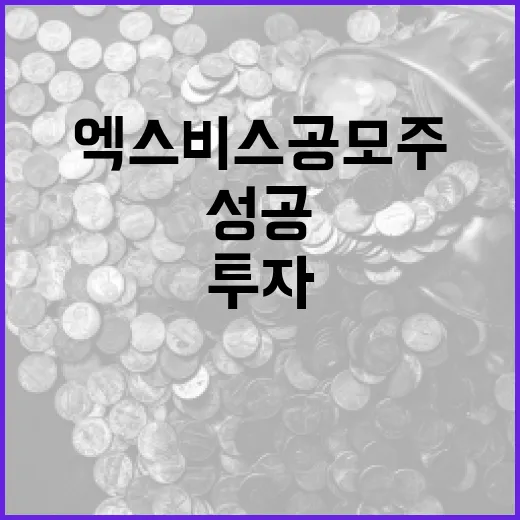 엑스비스 공모주 투자 성공하는 방법 - 요약