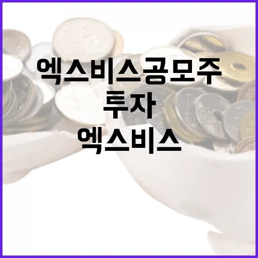 엑스비스 공모주 투자 방법과 전략 - 요약