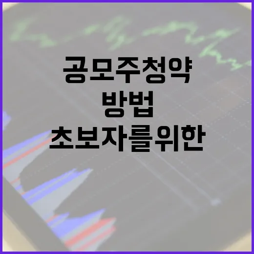 공모주 청약 방법: 초보자를 위한 가이드 - 요약