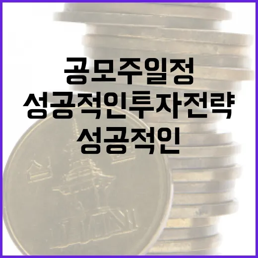 공모주 일정 파악하는 방법: 성공적인 투자 전략 - 요약