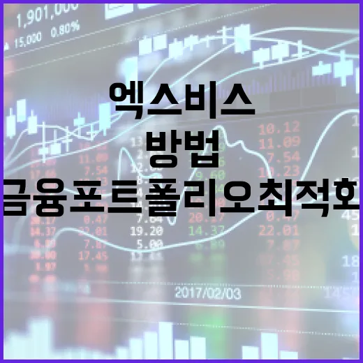 엑스비스로 금융 포트폴리오 최적화하는 방법 - 요약