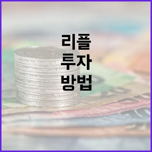 리플을 이해하고 투자하는 방법 - 요약
