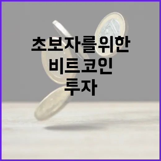 비트코인에 투자하는 방법: 초보자를 위한 가이드 - 요약