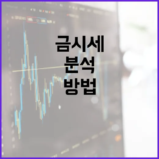 금시세를 효과적으로 분석하는 방법 - 요약