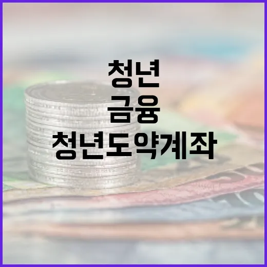 청년도약계좌로 금융 미래를 준비하는 방법 - 요약