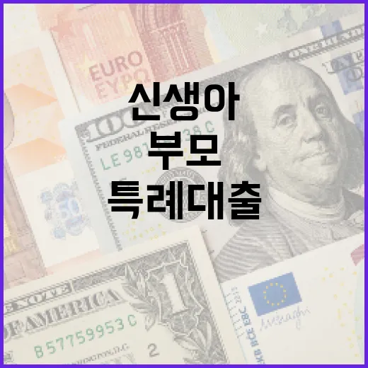 신생아 특례대출 활용 방법: 부모를 위한 완벽 가이드 - 요약