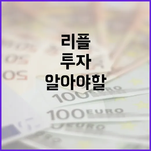 리플 투자 방법: 알아야 할 기본 사항 - 요약