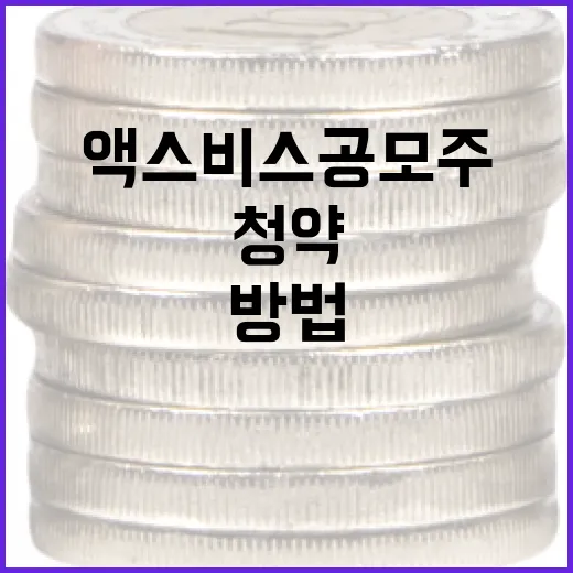 액스비스 공모주 청약에 성공하는 방법 - 요약