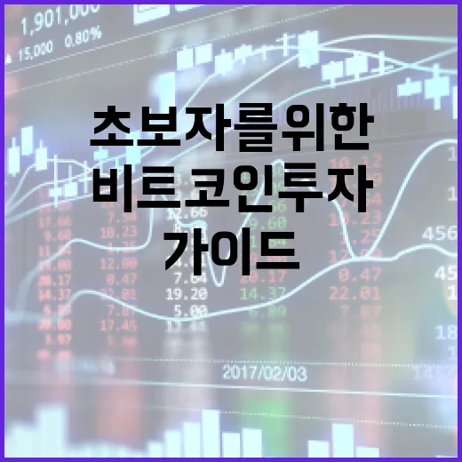 비트코인 투자 방법: 초보자를 위한 가이드 - 요약