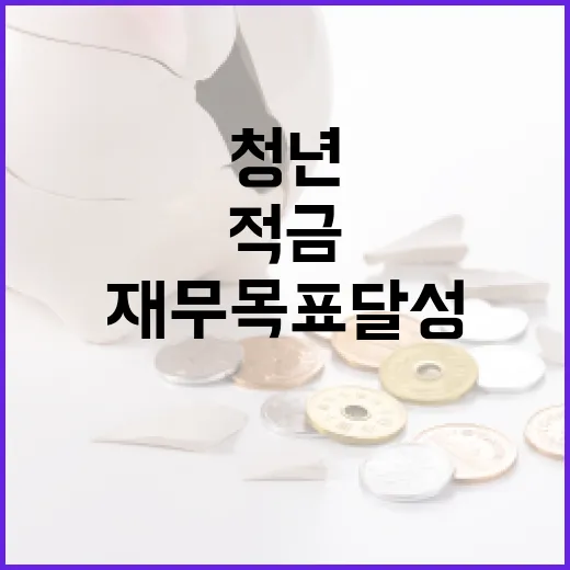 청년미래적금으로 재무 목표 달성하는 방법 - 요약