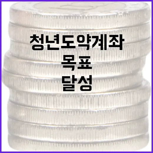 청년도약계좌 활용 방법: 금융 목표를 달성하는 법 - 요약