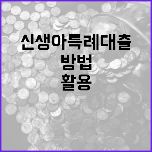 신생아 특례대출을 활용하는 방법 - 요약
