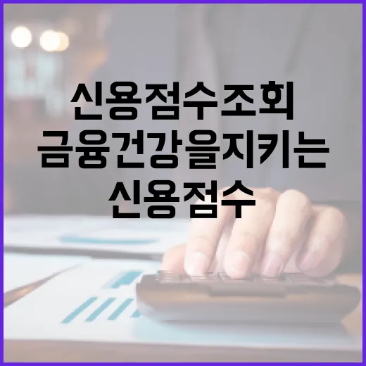 신용점수 조회하는 방법: 금융 건강을 지키는 첫걸음 - 요약