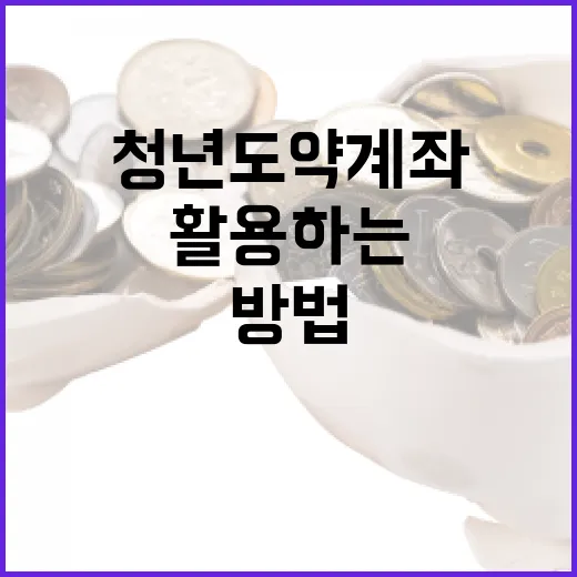 청년도약계좌를 최대한 활용하는 방법 - 요약