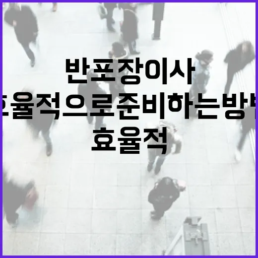 반포장이사를 효율적으로 준비하는 방법 - 요약