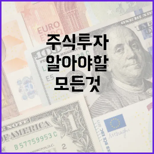 하이닉스 주식 투자에 대해 알아야 할 모든 것 - 요약