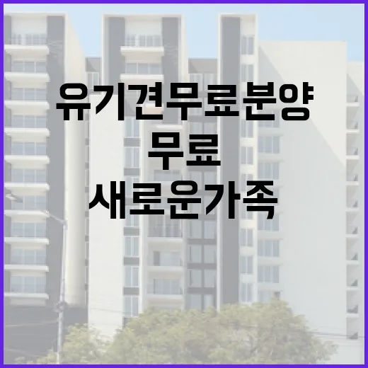 유기견 무료 분양을 통해 새로운 가족을 찾는 방법 - 요약