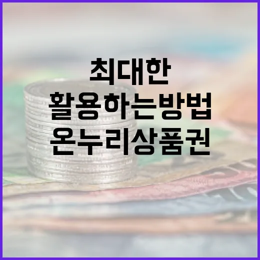 온누리상품권을 최대한 활용하는 방법 - 요약