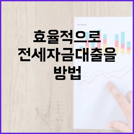 전세자금대출을 효율적으로 활용하는 방법 - 요약