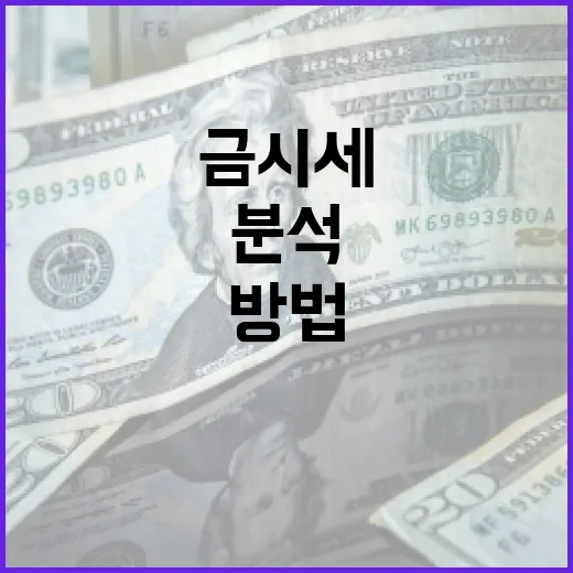 금시세를 효과적으로 분석하는 방법 - 요약