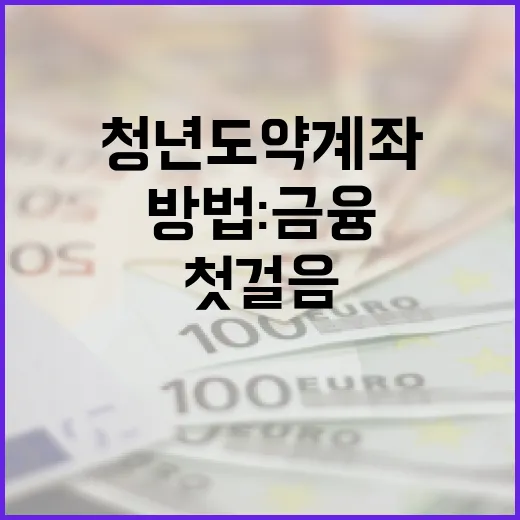 청년도약계좌를 활용하는 방법: 금융 자유를 위한 첫걸음 - 요약
