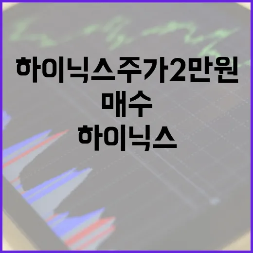 하이닉스 주가 2만원일 때 매수하는 방법 - 요약