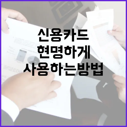 신용카드를 현명하게 사용하는 방법 - 요약