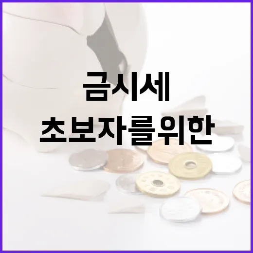 금시세 분석 방법: 초보자를 위한 가이드 - 요약