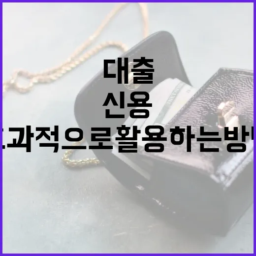 신용대출을 효과적으로 활용하는 방법 - 요약