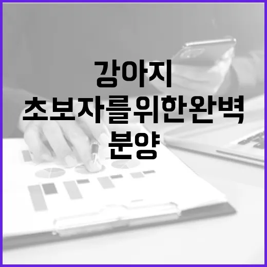 강아지를 분양받는 방법: 초보자를 위한 완벽 가이드 - 요약